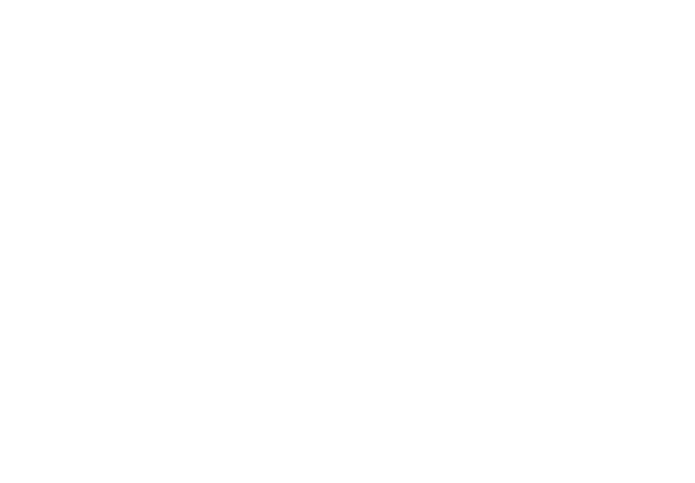 Sponsor HOTEL DOS SE VAN, TRES LLEGAN